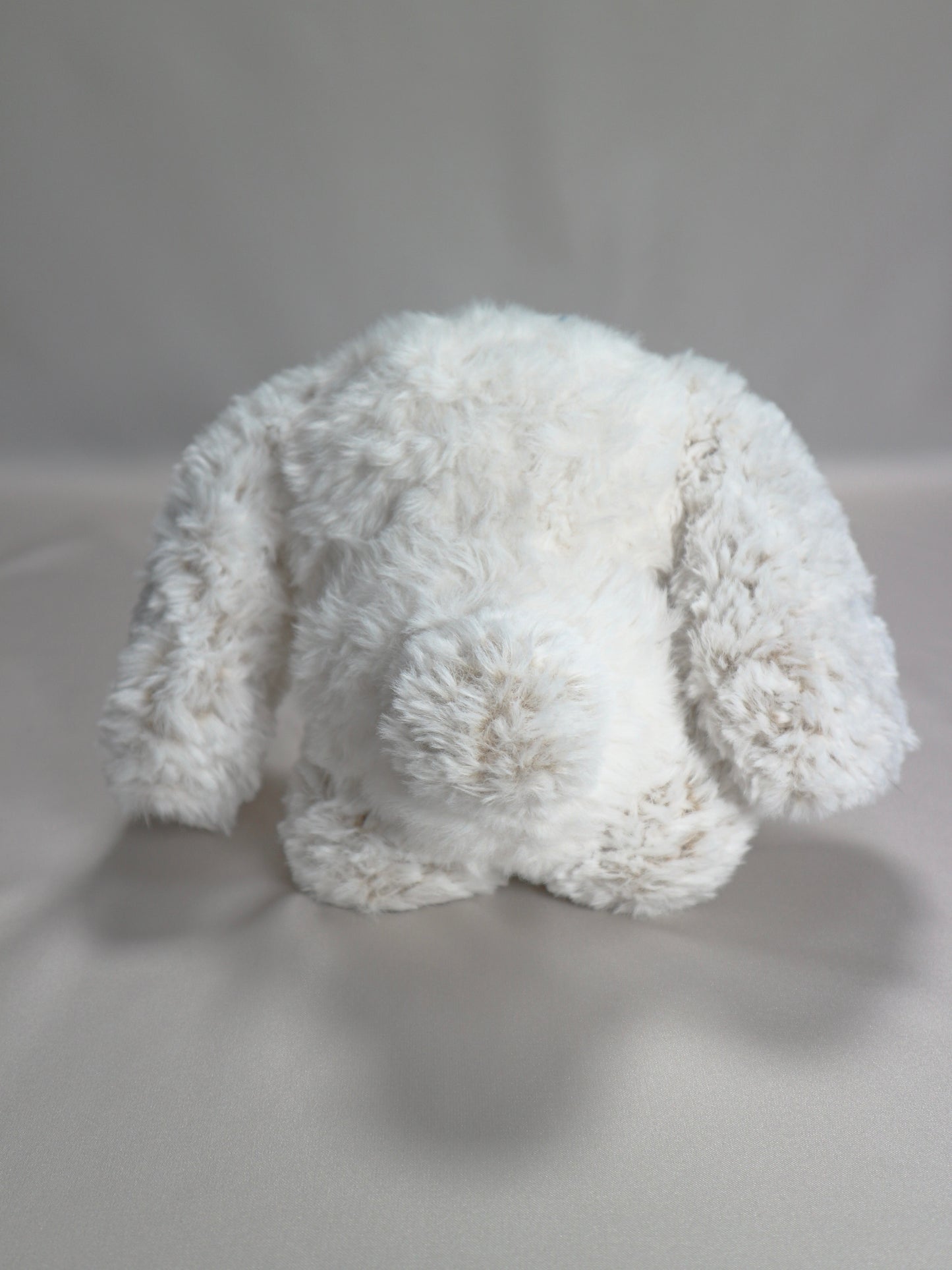 Truffle The Bunny